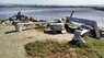 Driftwood Sculpture Brazen Half Marathon San Leandro Aug 2015.jpg