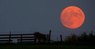 harvestmoon.jpg