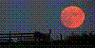 harvest moon.GIF