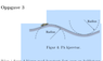 Bilde 2010-09-23 00-48-41.png