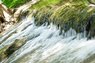 DSC08534b.JPG