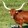 35543024_10156451781643684_5384429761160282112_n.jpg