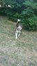 MOV_0417_000035.jpg