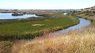 Coyote Hills Marsh June 2018.jpg