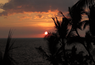KONA_SUNSET.png