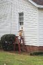 catdoor.jpg