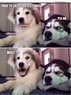 tried to catch fog.jpg