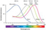 640px-1416_Color_Sensitivity.jpg