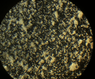 microash4.png