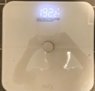 scale---1.jpg