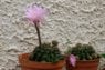 DSCF4245.JPG