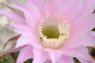 DSCF4247.JPG