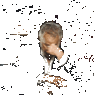 giphy.gif