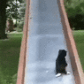 ezgif-5-1ec8f1aa25.gif