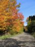 fall.jpg