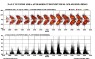 800px-Sunspot_butterfly_with_graph.gif