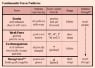 Four-Fundamental-Forces.gif