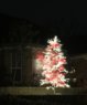 xmastree---1.jpg