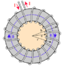 tor.png