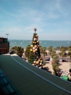 IMG_20181217_110552.jpg