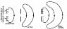 main-qimg-0dc6e6e6e5a5c3a03a6fc974abacba9c.gif