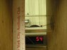 54Hz Off, no glare.jpg