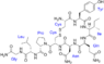 Oxytocin_with_labels.png