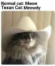 49485887_2243190739080731_1486634613760589824_n.png?_nc_cat=1&_nc_ht=scontent.fmuc3-1.png