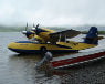 300px-Grumman_Widgeon_G44.jpg