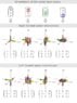 SME_spinor_orientations.jpg