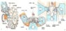 types_of_water_turbine_daviddarling.jpg