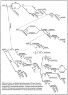fa51f480f5d16b165e7bc3e57f816c4c--love-sentences-complex-sentences.jpg