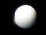 DSC02550.JPG
