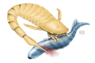 sea scorpion.png