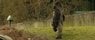 gorilla posture.jpg