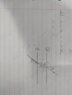 thumbnail.jpg