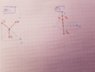 20191005_131012.jpg