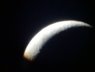 DSC03107.JPG