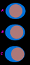 Image2.gif