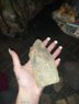 20200412_002039.jpg