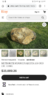 Screenshot_20200414-012330.png