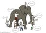 elephant (1).jpg