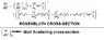 Rosenbluth cross-section.png
