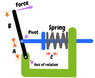 spring and force.PNG