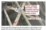 sfp4_railings_annotated.jpg