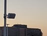 IMG_20200724_202022.jpg