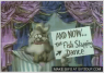Screenshot-1.png