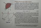 IMG_20210626_202847.jpg