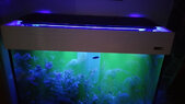 20160728_095436.jpeg
