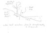 section1.jpg